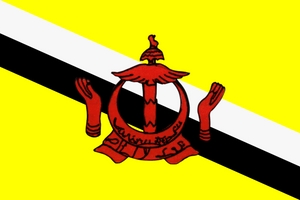 Флаг: Бруней