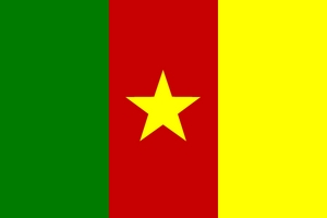 Флаг: Камерун