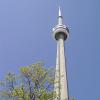 CN Tower - ����� ������� �����