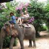 ������ �� ����� (Elephant trekking)