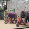Слоны на велосипедах