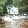 Водопад Liffey Falls