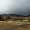 В нац.парке Cradle Mountain